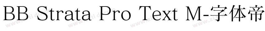 BB Strata Pro Text M字体转换